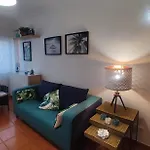 Apartment Nature And Flat *