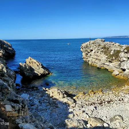 Nature And Flat * 페니케