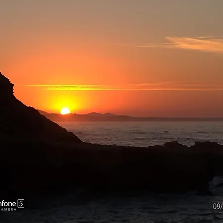 Nature And Flat 페니케