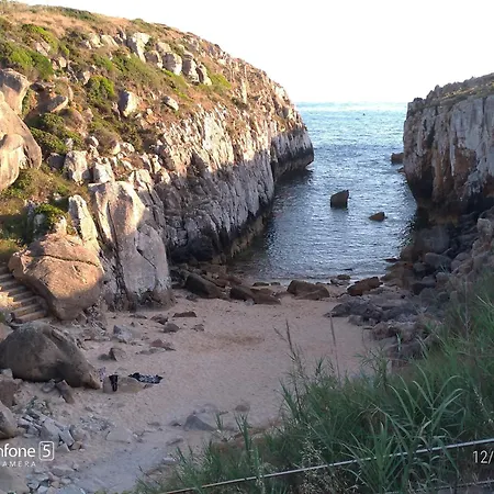 Nature And Flat * 페니케