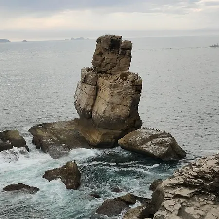 Nature And Flat Apartment Peniche