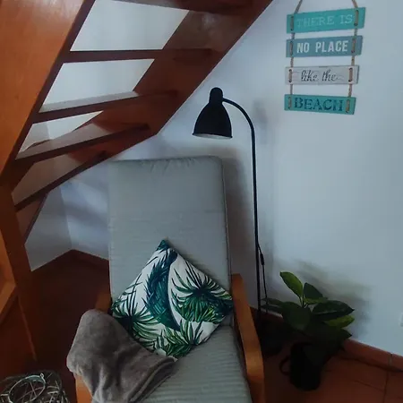 Nature And Flat Apartment