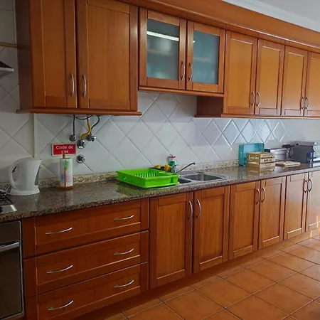 Nature And Flat 페니케