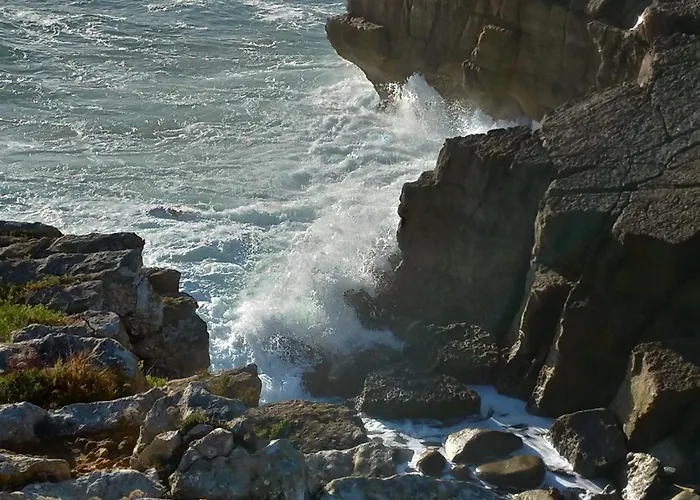 Nature And Flat ペニシェ